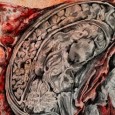 This week we talk with Dr. Steven Schlozman, Assistant Professor of Psychiatry at Harvard Medical School and Lecturer in Education at the Harvard Graduate School of Education.  Schlozman talks to us...