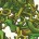 Our guest this week is Zoran Popović.  As director for the Center for Game Science at the University of Washington, Zoran helped create (with David Baker and Seth Cooper) Foldit – a...