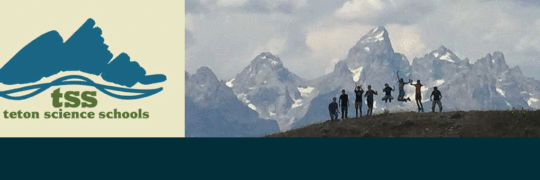 Lab Out Loud – Science for the classroom and beyond